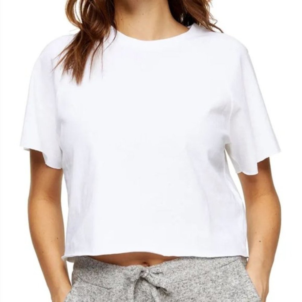 Topshop Raglan Crop T-Shirt